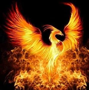 Meet your Posher, T.j.